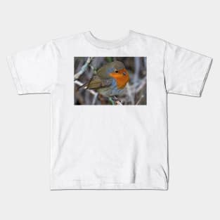 Fluffed up Robin Kids T-Shirt